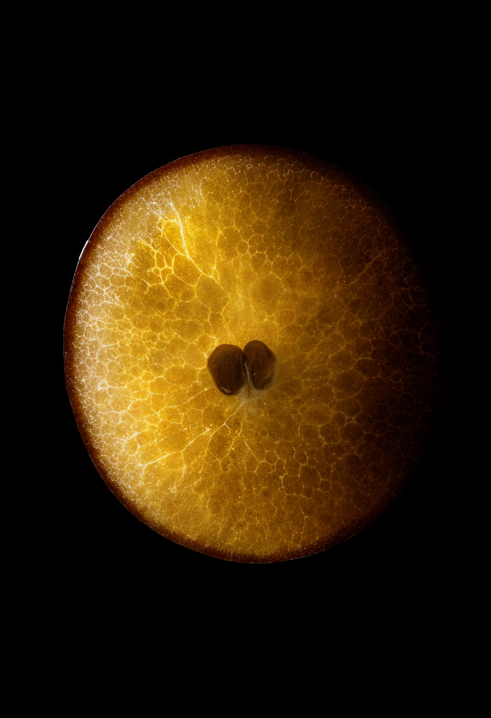 Does vitamin C fade dark spots — how it affects pigment