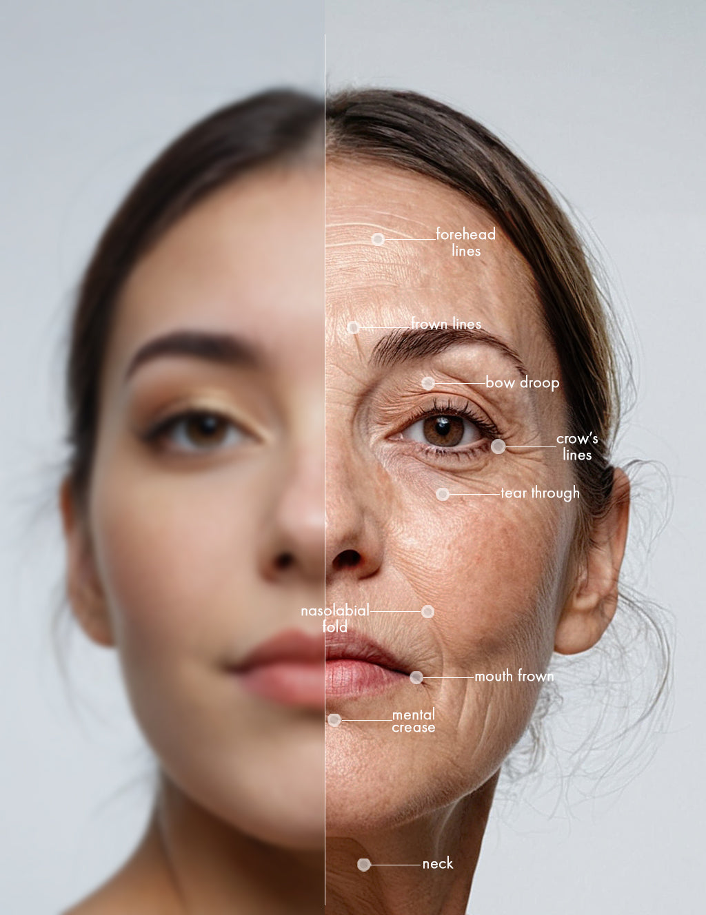 Collagen and Anti-aging