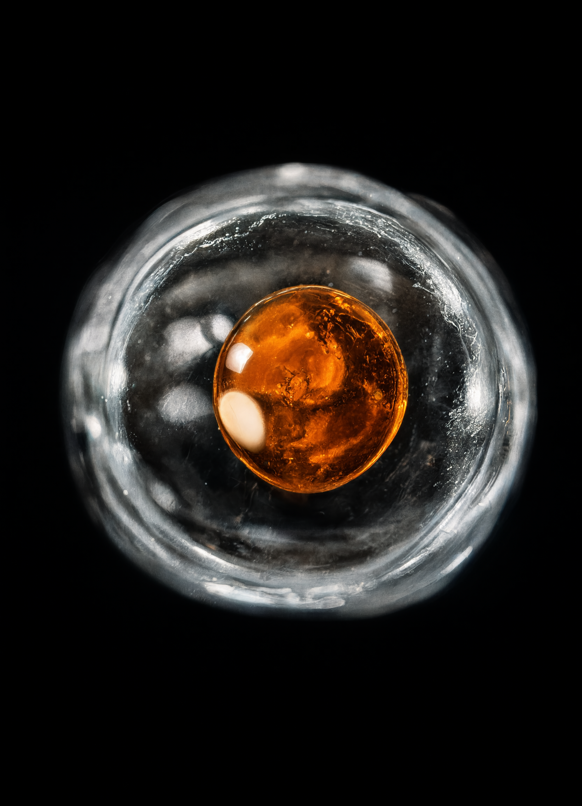 Vitamin K2 and skin elasticity, the bone-skin connection